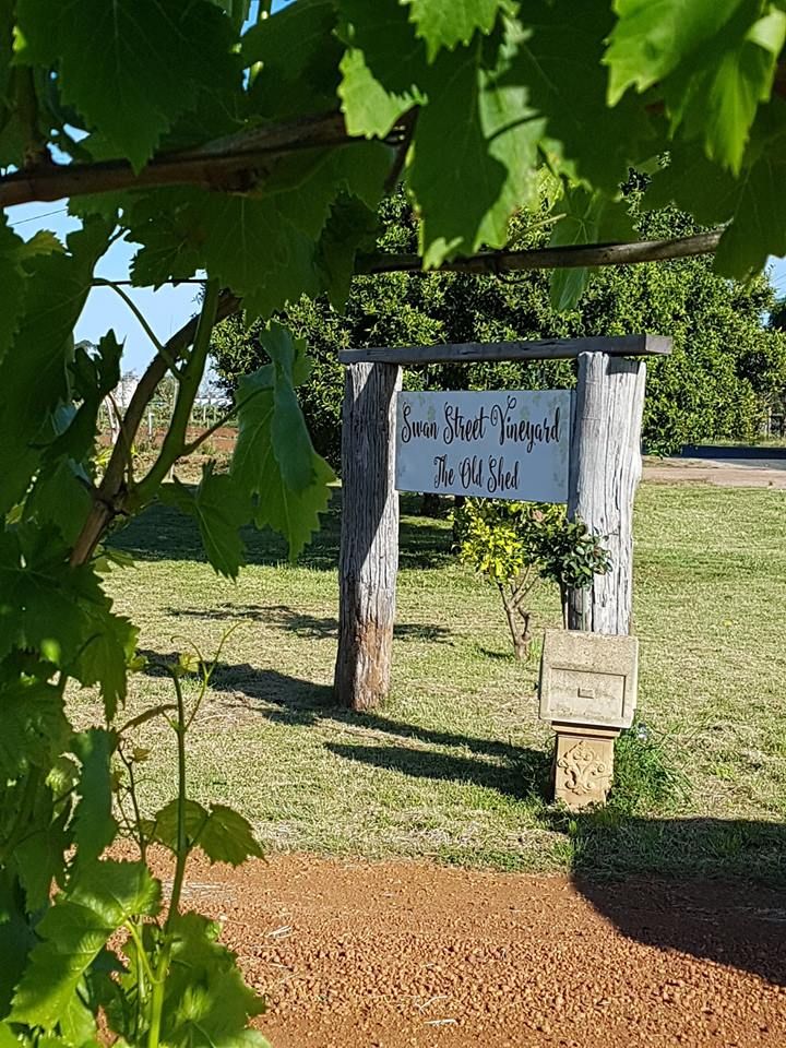 A red gravel driveway leading past rows of vineyard on either side toward the property entrance.